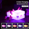 5 Colors Changing Pixel Axolotl LED Night Light, Rechargeable Block Lamp